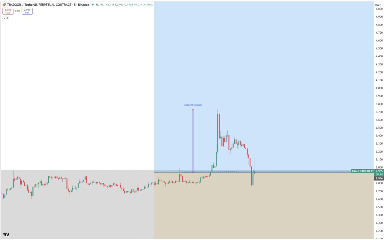 TRADOOR: резкий рост и откат — анализ рынка