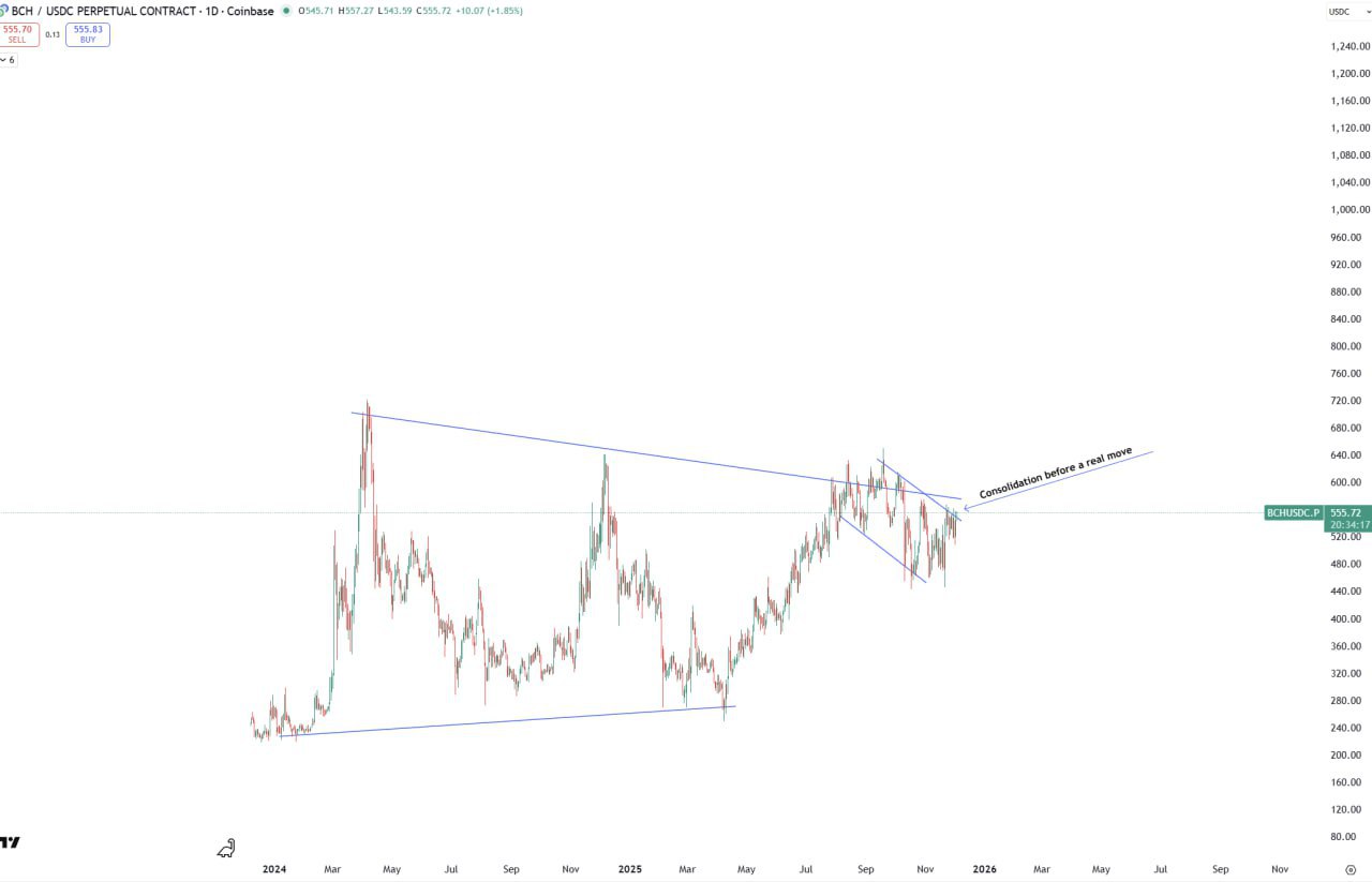 BCH (Bitcoin Cash) — не пропустите поезд