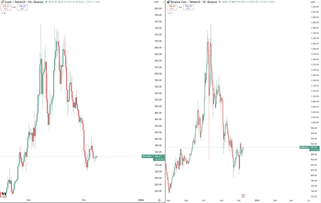 Анализ графиков ZEC и BNB — сигналы отсутствуют