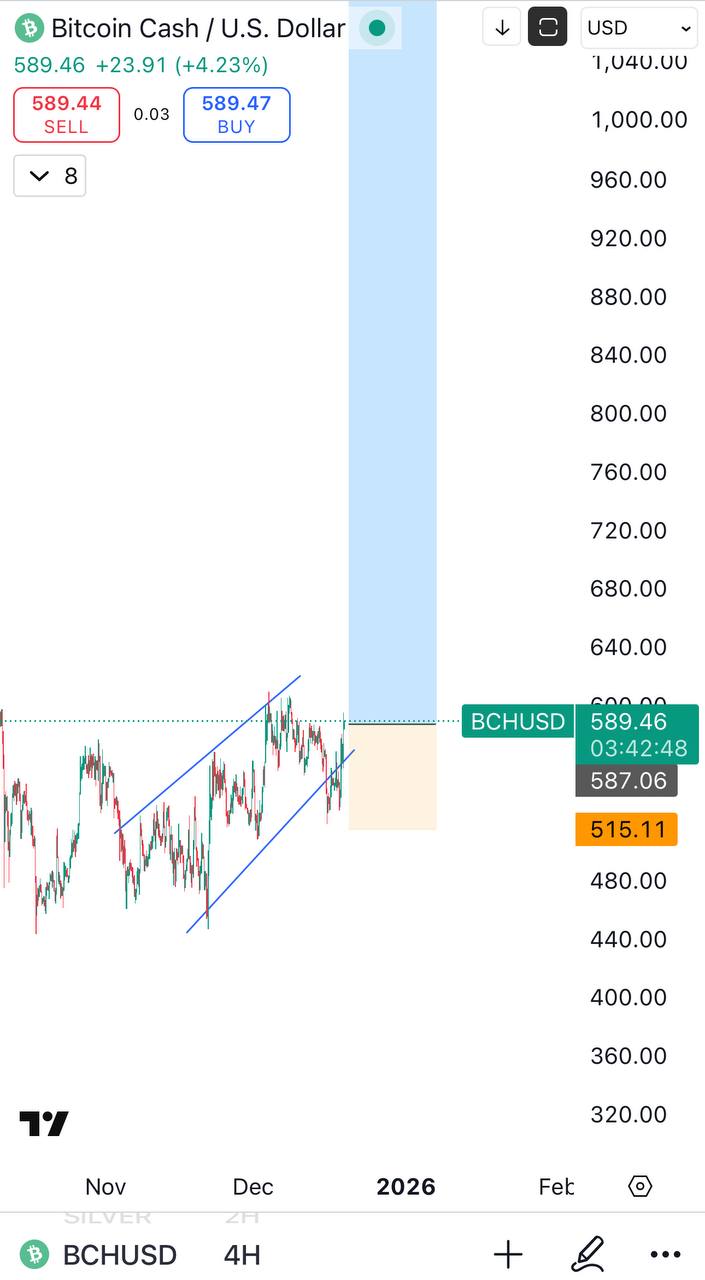 BCH: бычий сигнал