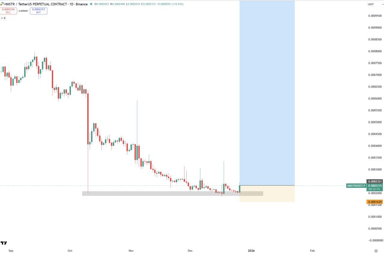 HMSTR — бычий сигнал на HMSTR/USDT