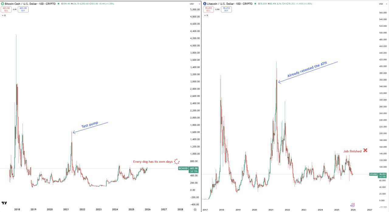 Какой ваш вывод?