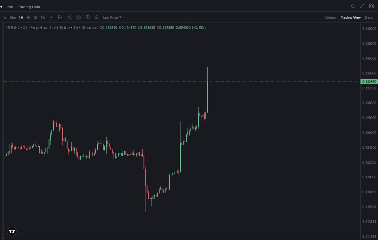 Что сказал Илон Маск о DOGE?
