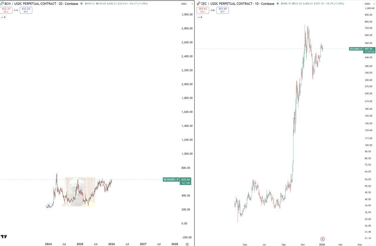 BCH/USDC и ZEC/USDC — сравнительный обзор