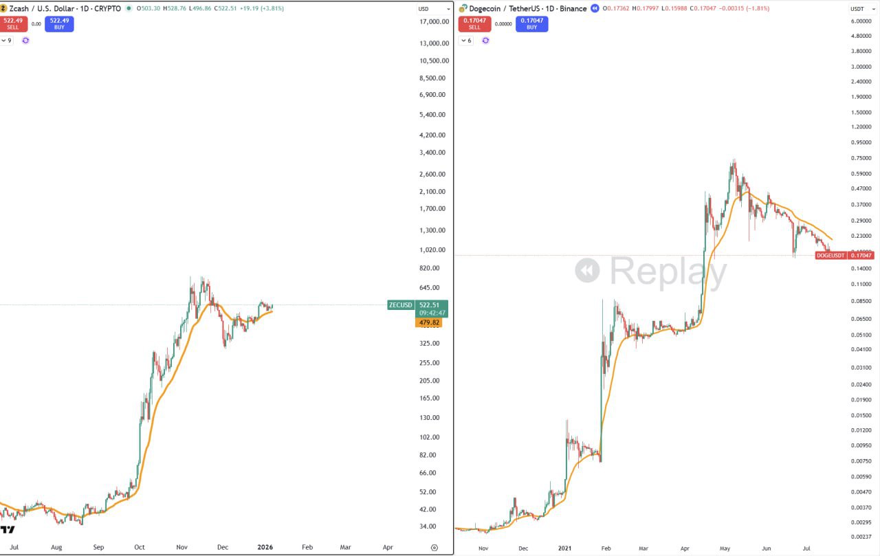 ZEC и DOGE — обзор 2021