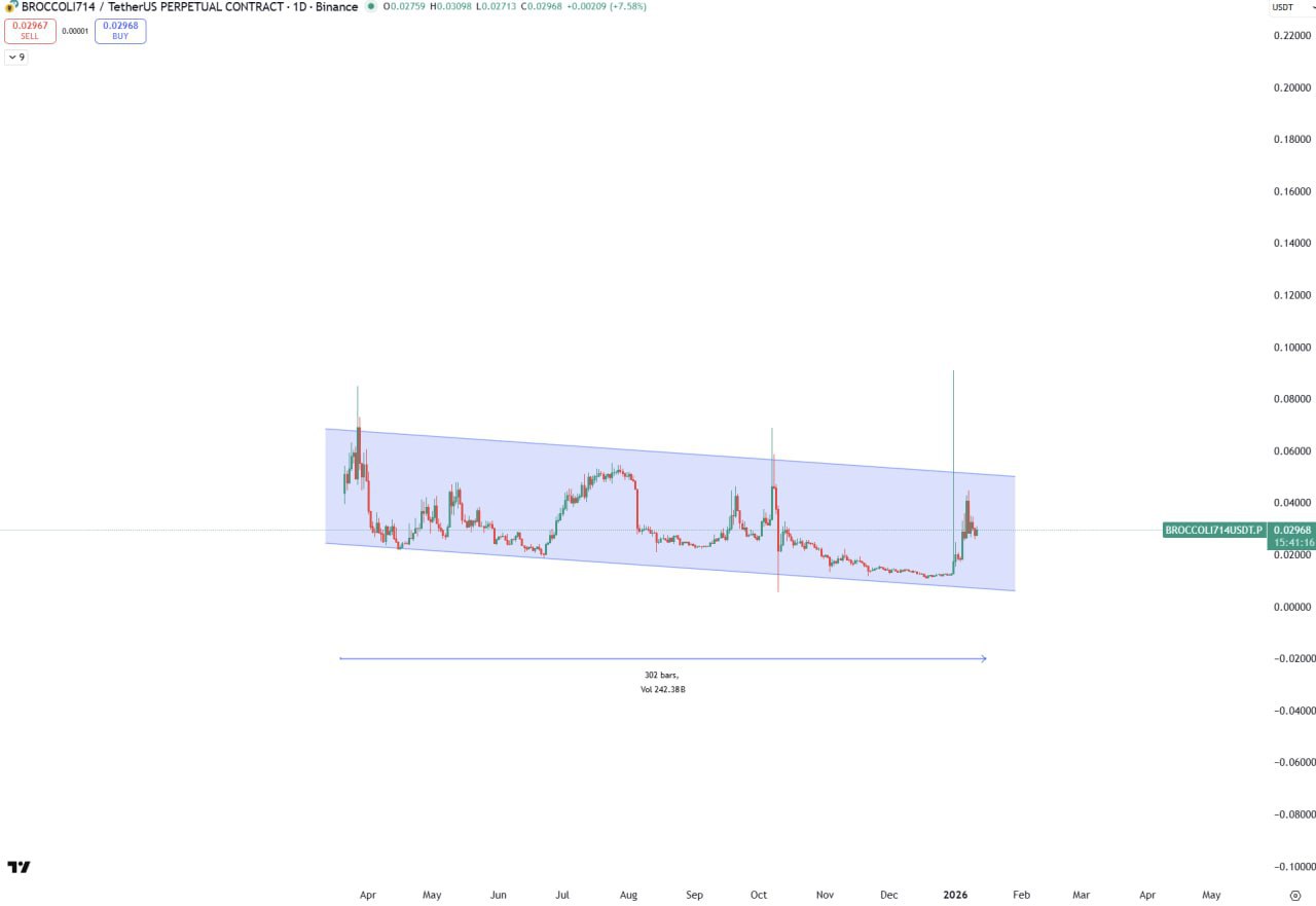 BROCCOLI714 — 300 дней накопления