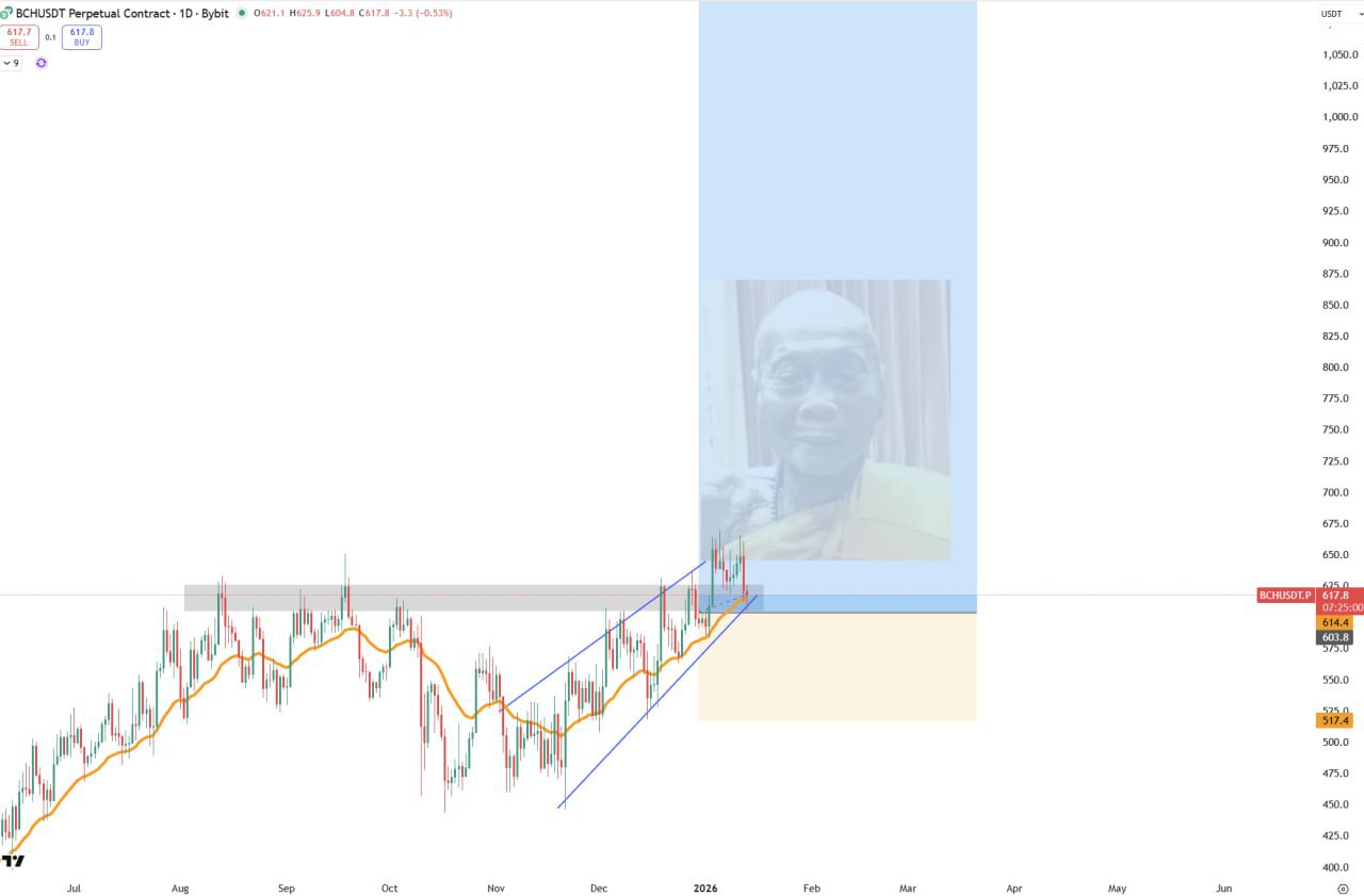 BCH/USDT: бычий пробой и возможная длинная позиция
