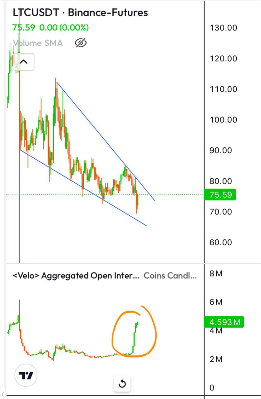 Бычий сигнал по LTC