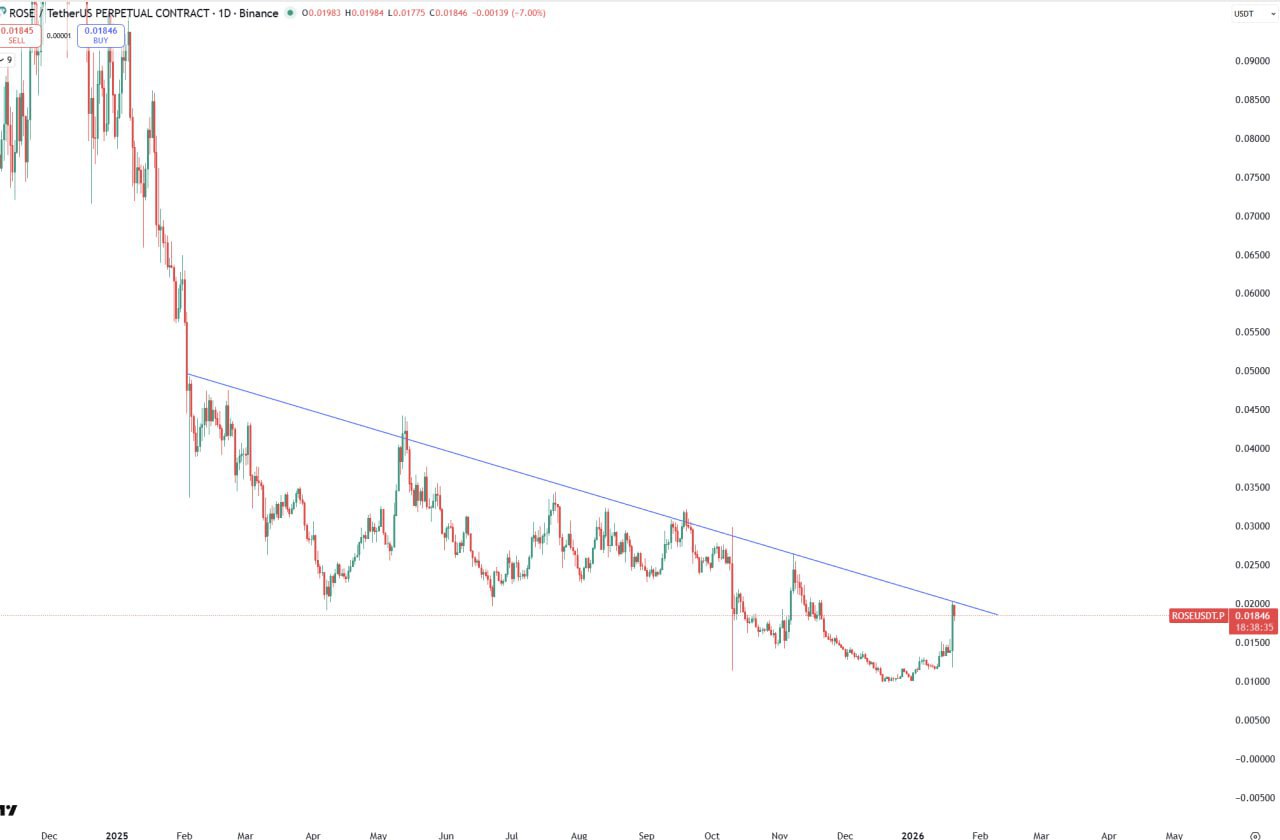 ROSE/USDT: касание линии сопротивления — разворот или пробой?