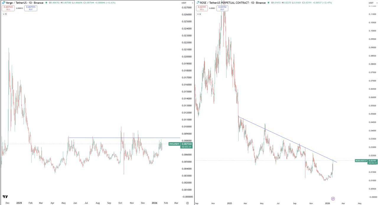Политика конфиденциальности
