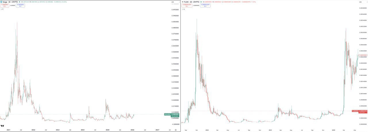 XVG — Floki мира приватности