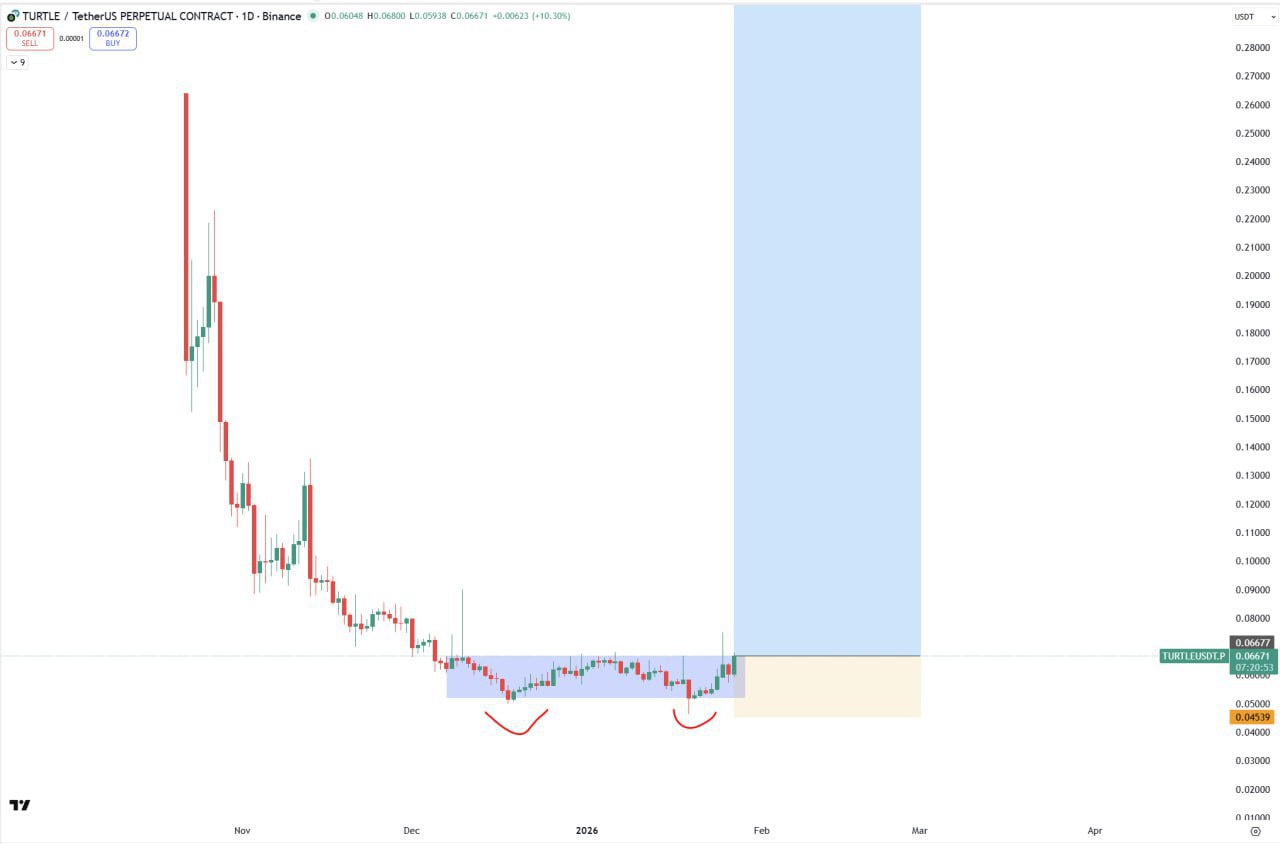 TURTLE/USDT — бычий сигнал