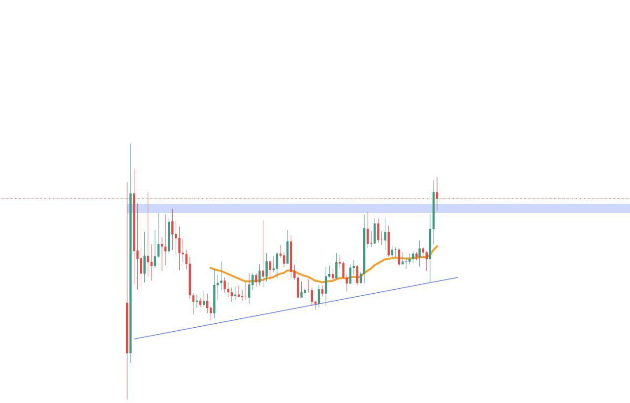 Какой выбрать?