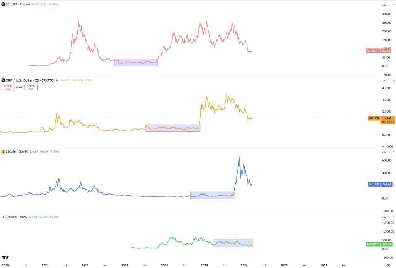 У каждой собаки свои дни