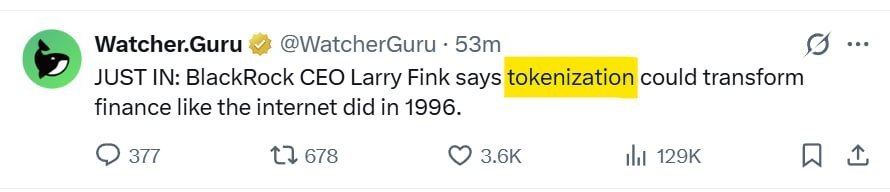 Криптовалютные торговые сигналы: руководство для начинающих