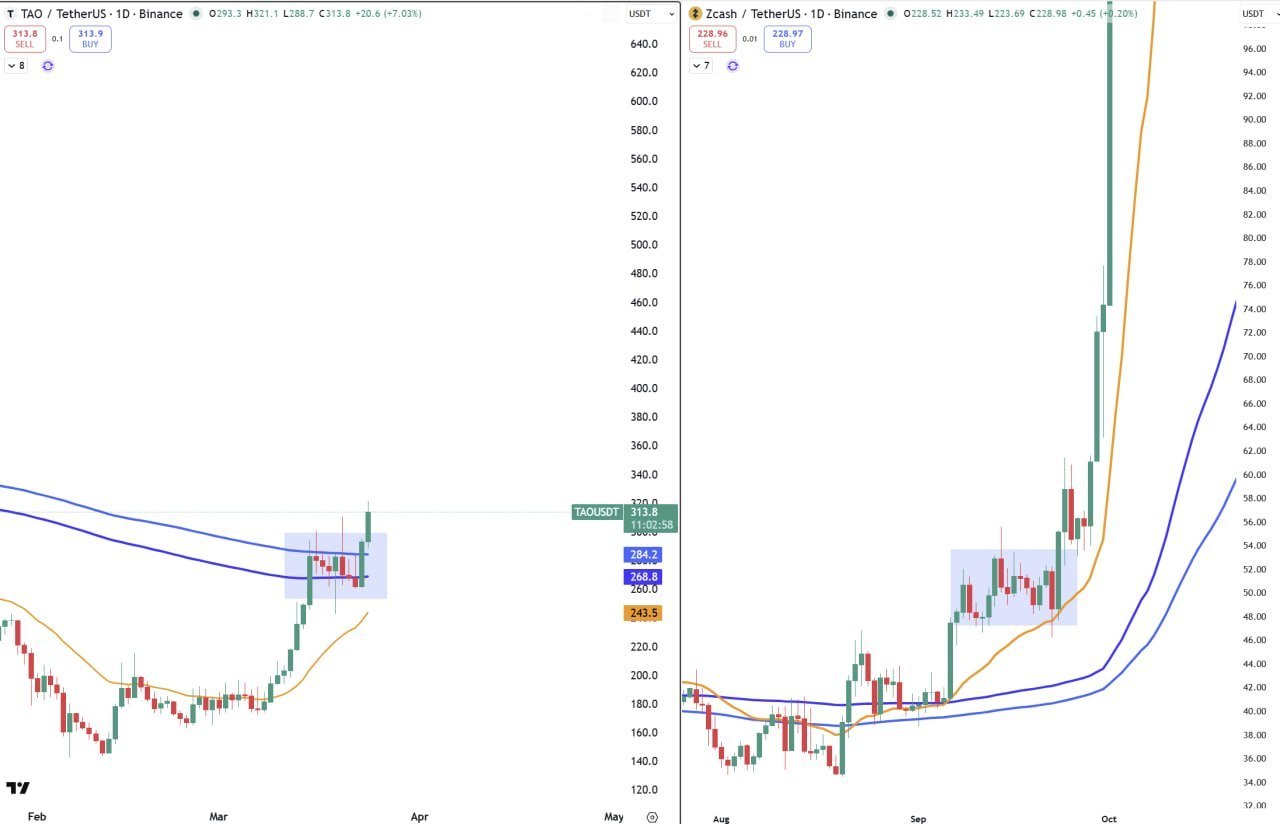 ZEC и TAO — 6 месяцев спустя