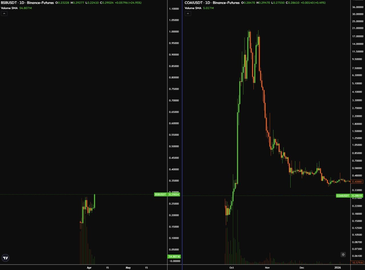 BSB — следующий COAI с потенциалом x20
